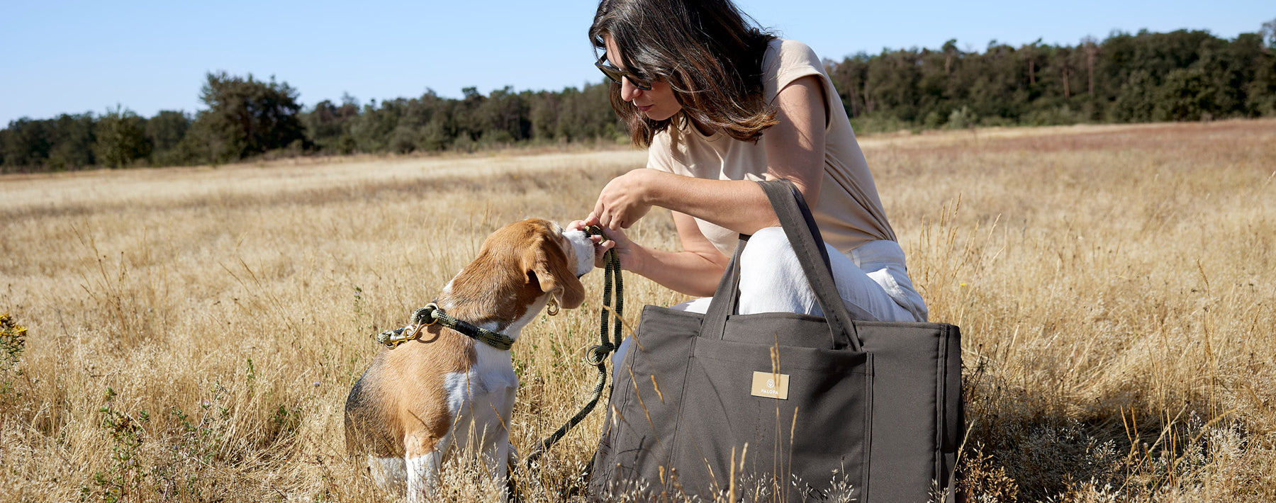 Tipps für den Frühling mit Hund PALOPA