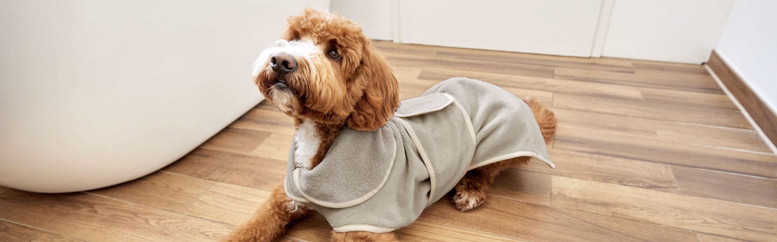 Bathrobe dog best sale