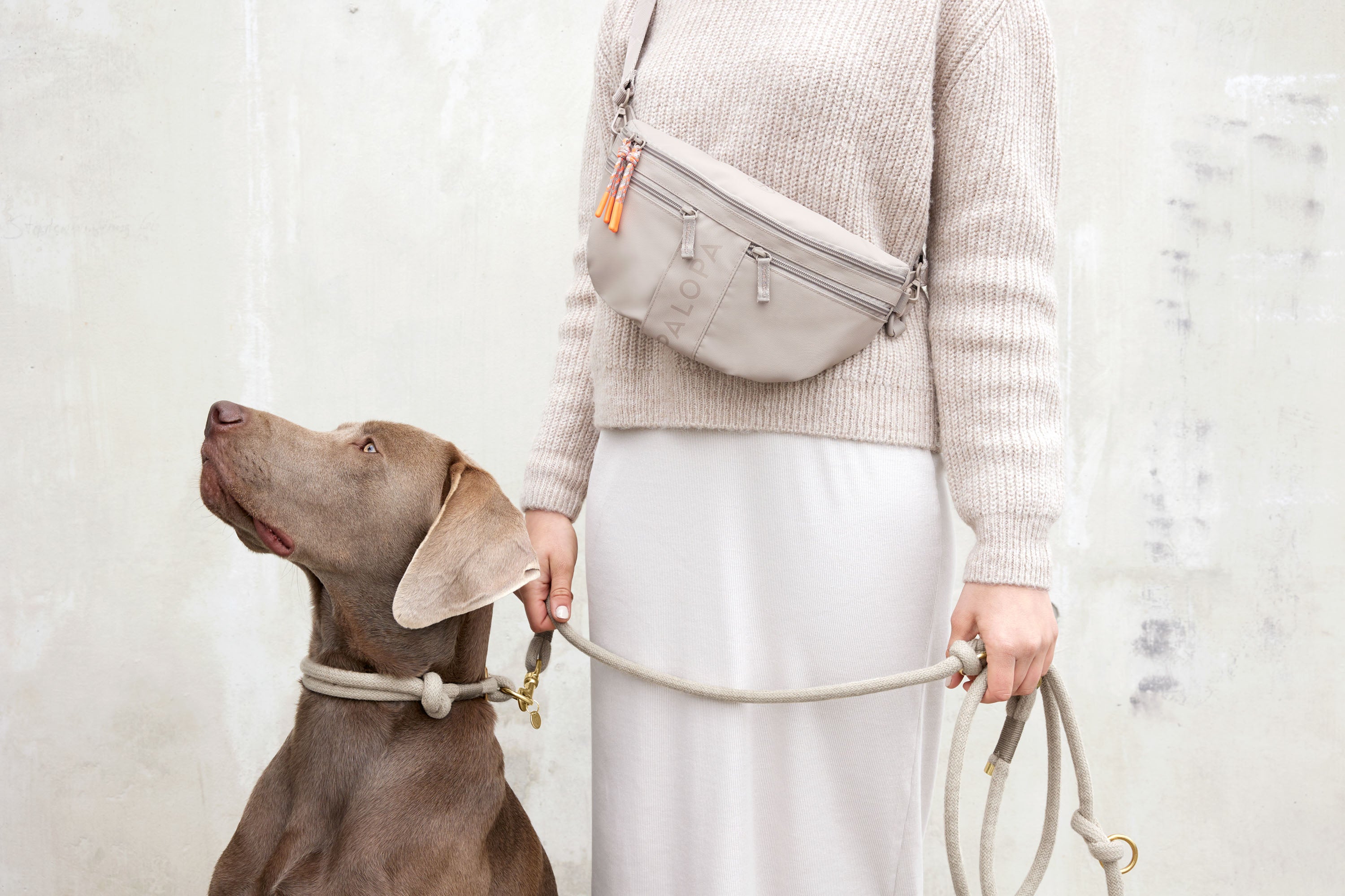 Hund ist von der Besitzerin angeleint, beide stehen vor einer Wand, die Besitzerin hat einen Leckerlibeutel Emma Taupe umgehängt.